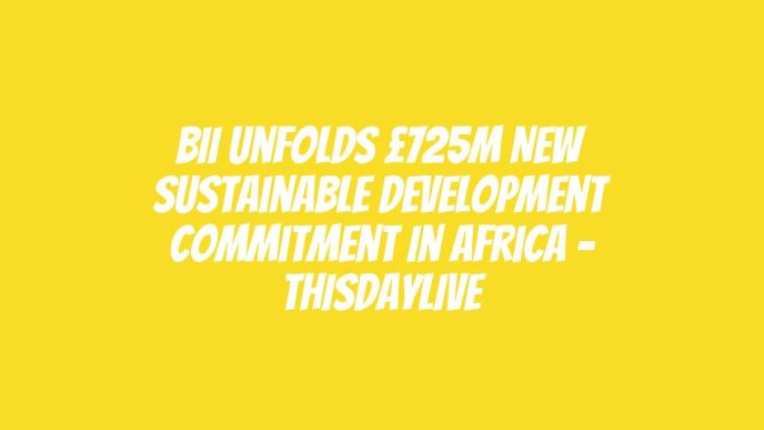 BII Unfolds £725m New Sustainable Development Commitment in Africa – THISDAYLIVE