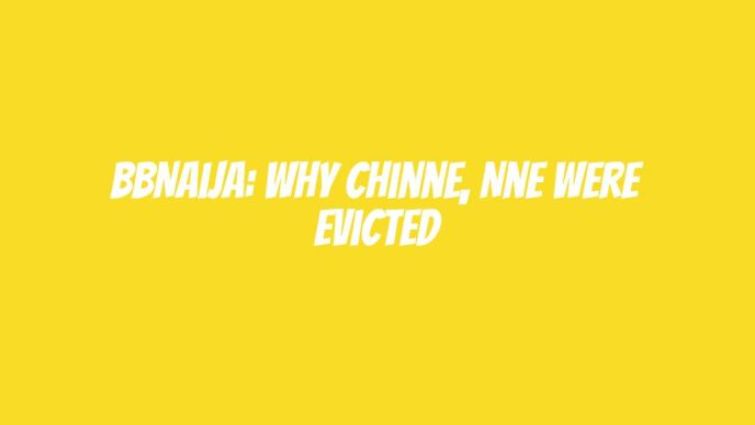 BBNaija: Why Chinne, Nne were evicted