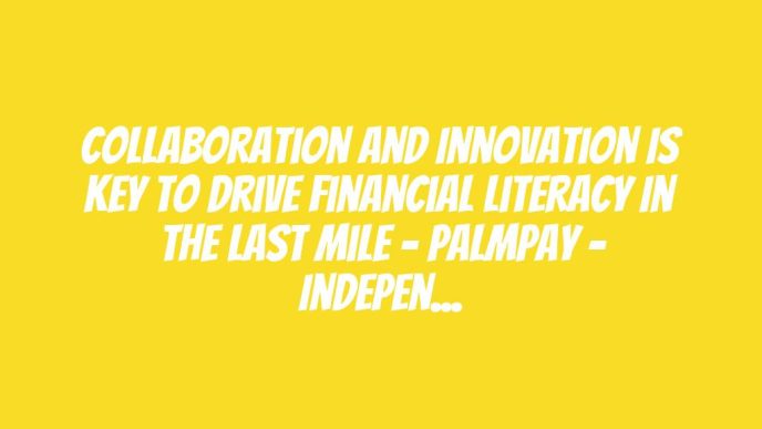 Collaboration and Innovation Is Key To Drive Financial Literacy In The Last Mile – PalmPay – Independent Newspaper Nigeria