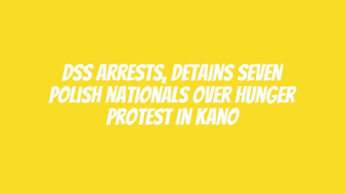 DSS arrests, detains seven Polish nationals over hunger protest in Kano