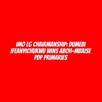 Imo LG Chairmanship: Dumebi Ifeanyichukwu wins Aboh-Mbaise PDP primaries