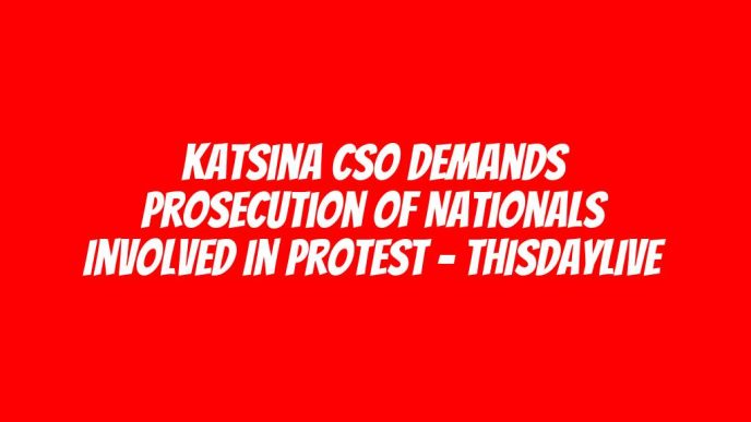 Katsina CSO Demands Prosecution of Nationals Involved in Protest – THISDAYLIVE