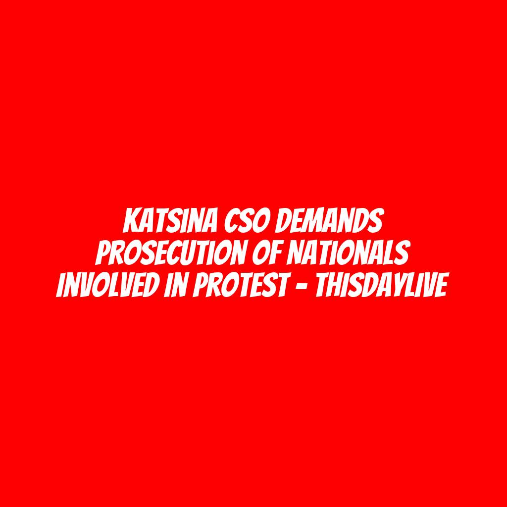 Katsina CSO Demands Prosecution of Nationals Involved in Protest – THISDAYLIVE