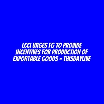 LCCI Urges FG to Provide Incentives for Production of Exportable Goods – THISDAYLIVE