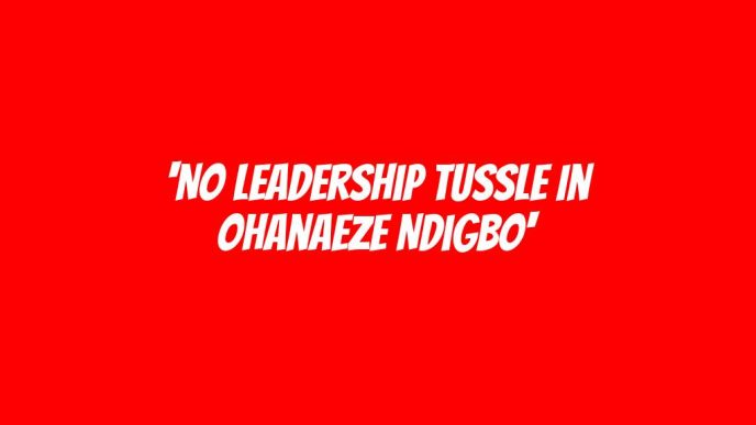 'No leadership tussle in Ohanaeze Ndigbo'