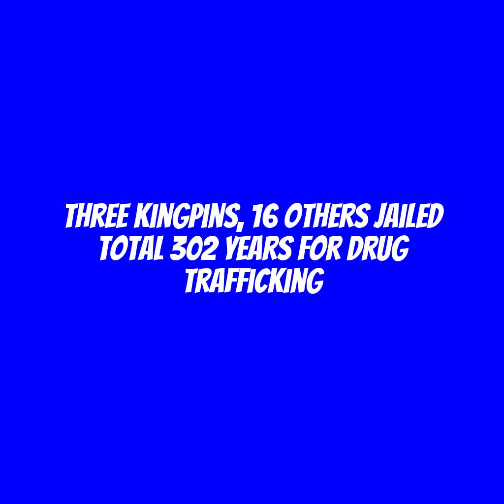 Three kingpins, 16 others jailed total 302 years for drug trafficking