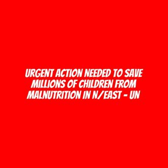 Urgent action needed to save millions of children from malnutrition in N/East – UN