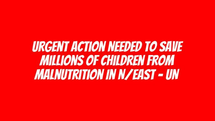 Urgent action needed to save millions of children from malnutrition in N/East – UN