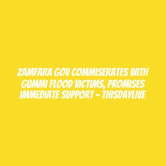 Zamfara Gov Commiserates With Gummi Flood Victims, Promises Immediate Support – THISDAYLIVE